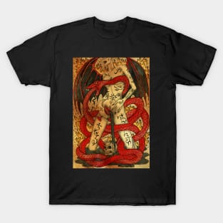 Demoness. Gothic Mysteries Design. T-Shirt